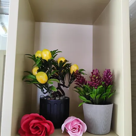 Apartmán δροσια 1 Nafplio